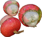 Cucurbita maxima Mini turban rouge; fruits