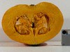 Cucurbita maxima Hopi orange; coupes