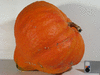 Cucurbita maxima Hopi orange; fruits