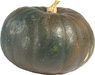 Cucurbita maxima Rondo di tronco; fruits
