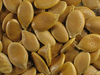 Cucurbita maxima Iran; graines