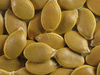 Cucurbita maxima Sumo; graines