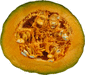 Cucurbita maxima Indian pumpkin; coupes