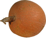 Melonowa zolta