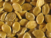 Cucurbita maxima Hokoko Kurodane; graines