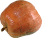 Cucurbita maxima Gaillot; fruits