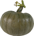 Cucurbita maxima Black prince; fruits
