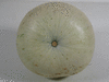Cucurbita maxima White pumpkin; ombilics