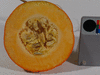 Cucurbita maxima Orange Banana; coupes