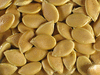 Cucurbita maxima Orange Banana; graines