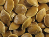 Cucurbita maxima Mormon Squash; graines