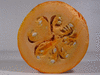 Cucurbita maxima Amerikanish pumpkin; coupes