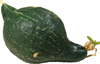 Green hubbard