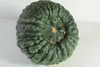 Cucurbita maxima Green turban; ombilics
