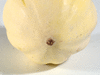 Cucurbita pepo Swan white acorn; ombilics