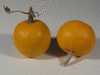 Cucurbita pepo Pomme d'or; fruits