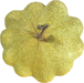 Cucurbita pepo Green patty (vert pale de Bennings); fruits