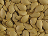 Cucurbita pepo Coloquinte cuillère; graines