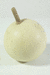 Cucurbita pepo Coloquinte balle blanche; fruits