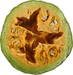 Cucurbita pepo Acoma pumpkin; coupes