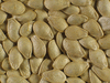 Cucurbita pepo Mandan; graines