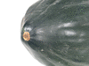 Cucurbita pepo F1 Early acorn; ombilics
