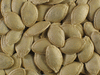 Cucurbita pepo Blanche de Virginie; graines