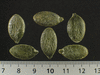 Cucurbita pepo Styrian hulless; graines