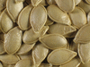 Cucurbita pepo Courge 32-31; graines