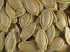 Cucurbita pepo Gold manteca; graines