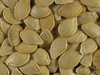 Cucurbita pepo Shawnee; graines