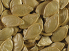 Cucurbita pepo Pâtisson panaché mix; graines
