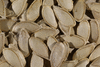 Cucurbita pepo Mongogo Guatemala; graines