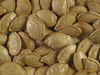 Cucurbita pepo Panonia; graines