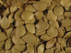 Cucurbita pepo Scarchuk's supreme; graines