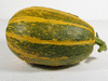 Cucurbita pepo Sucrine du Brésil; fruits