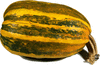 Cucurbita pepo Tarahumara  Pumpkin; fruits