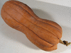 Cucurbita moschata Violina; fruits