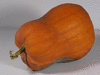 Cucurbita moschata Oskar; fruits