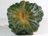 Cucurbita moschata Heipijiangbinggua; ombilics