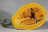 Cucurbita moschata Yellow pumpkin de Duba; coupes
