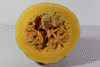 Cucurbita moschata Yellow pumpkin de Duba; coupes