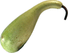 Calabash gourd (poire à poudre)