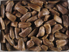 Lagenaria siceraria Mini Congo; graines