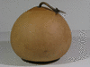 Lagenaria siceraria NKombo fr; fruits-secs