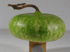 Lagenaria siceraria Ufo gevlekt fr; fruits