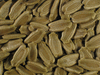 Lagenaria siceraria Thai Kettle fr; graines
