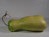 Lagenaria siceraria Zucca; fruits