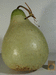 Lagenaria siceraria Figue; fruits