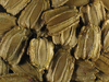 Lagenaria siceraria Kenyan drum; graines